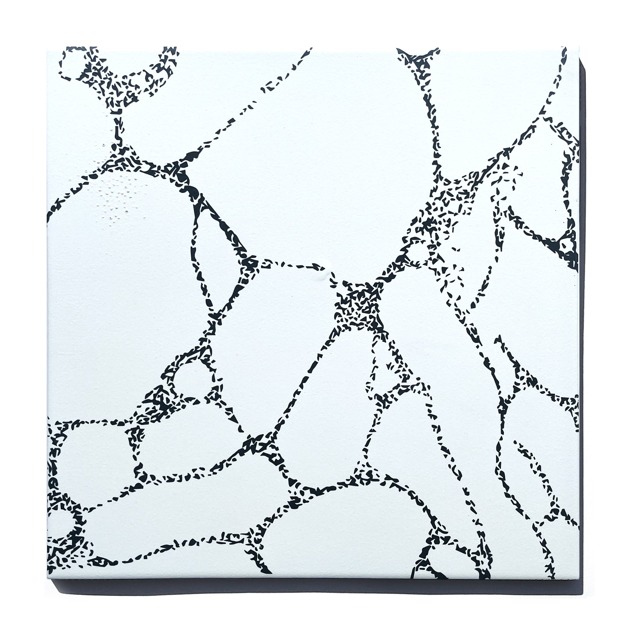 SECONDS | 12"x12" Gather in Tract